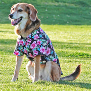 Doggie Design Dog Camp Shirt Dog Hawaiian Camp Shirt - Paradise Nights