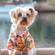 Doggie Design Dog Camp Shirt Dog Hawaiian Camp Shirt - Sunset Hibiscus