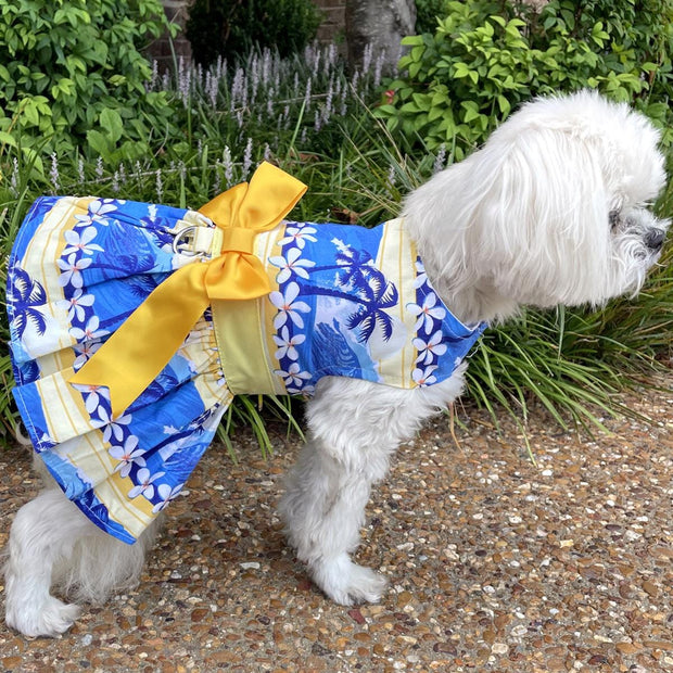 Doggie Design Dog Dress Catching Waves Dog Dress with Matching Leash