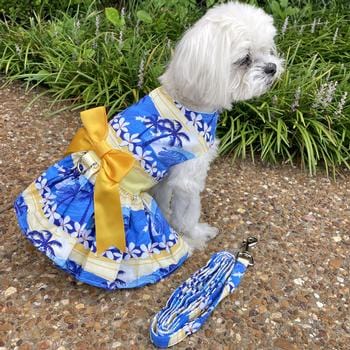 Doggie Design Dog Dress Catching Waves Dog Dress with Matching Leash