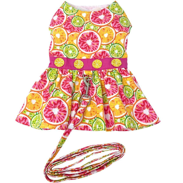 Doggie Design Dog Dress Citrus Slice Dog Dress with Matching Leash