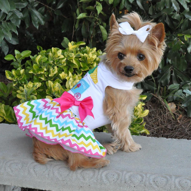 Doggie Design Dog Dress Ice Cream Cart Dog Dress with Matching Leash