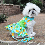 Doggie Design Dog Dress Pineapple Luau Dog Harness Dress with Matching Leash