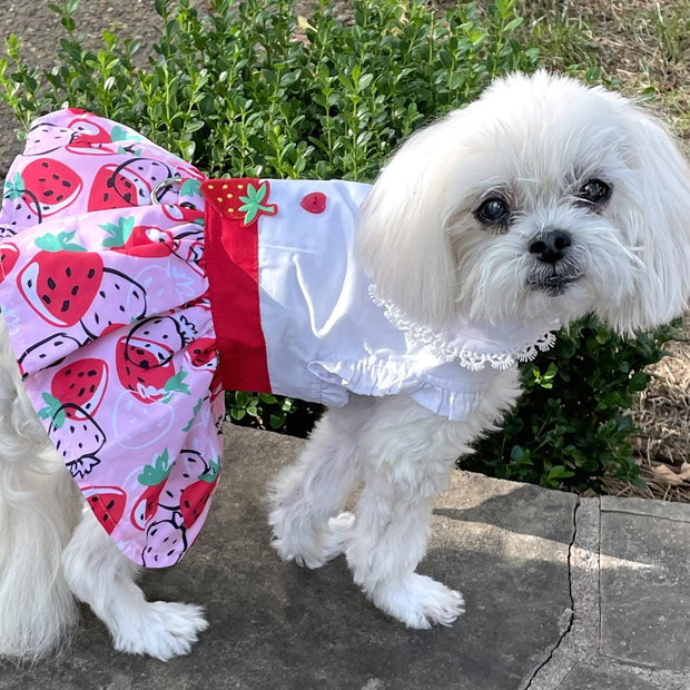 Doggie Design Dog Dress Strawberry Picnic Dog Dress with Matching Leash