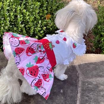 Doggie Design Dog Dress Strawberry Picnic Dog Dress with Matching Leash