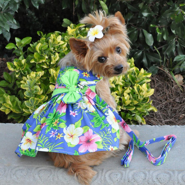 Doggie Design Dog Dress X-Small Blue Lagoon Hawaiian Hibiscus Dog Dress with Matching Leash