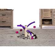 Essential Pet Products Prevue Pet Products Bounce ‘n Spring Cat Scratcher
