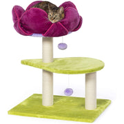 Essential Pet Products Prevue Pet Products Flower Power Scratcher and Lounger
