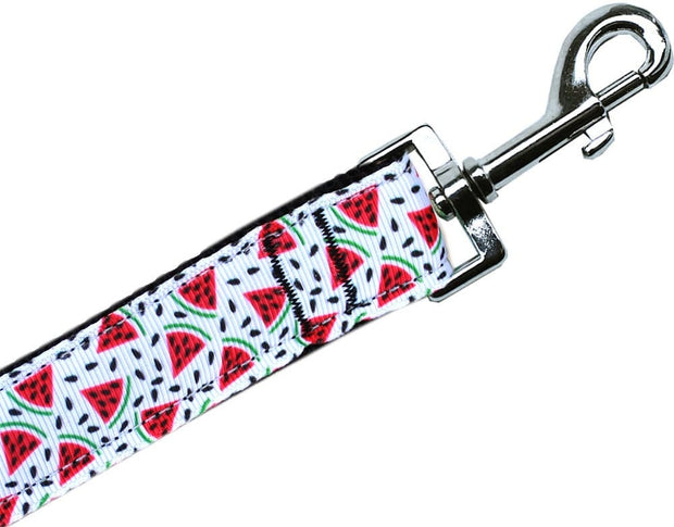 Mirage Pet Products 3/8" wide x 4 ft. Leash Dog Nylon Collar or Leash "Watermelon"