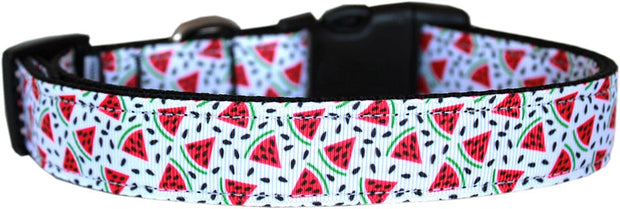 Mirage Pet Products Dog Nylon Collar or Leash "Watermelon"