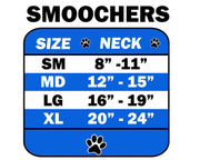 Mirage Pet Products Pet, Dog and Cat Smoocher Pet Necklace, "Shamrock"