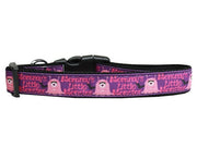 Mirage Pet Products X-Small Collar Dog Nylon Collar or Leash "Mommy's Little Monster"