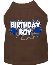 Mirage Pet Products XS (0-3 lbs.) / Brown Pet Dog & Cat Shirt Screen Printed "Birthday Boy"