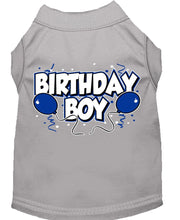 Mirage Pet Products XS (0-3 lbs.) / Gray Pet Dog & Cat Shirt Screen Printed "Birthday Boy"