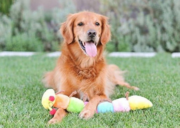 Pet Wholesale USA ZippyPaws Plush Deluxe Rainbow Caterpillar Toy with Squeakers 20"