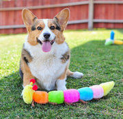 Pet Wholesale USA ZippyPaws Plush Deluxe Rainbow Caterpillar Toy with Squeakers 20"